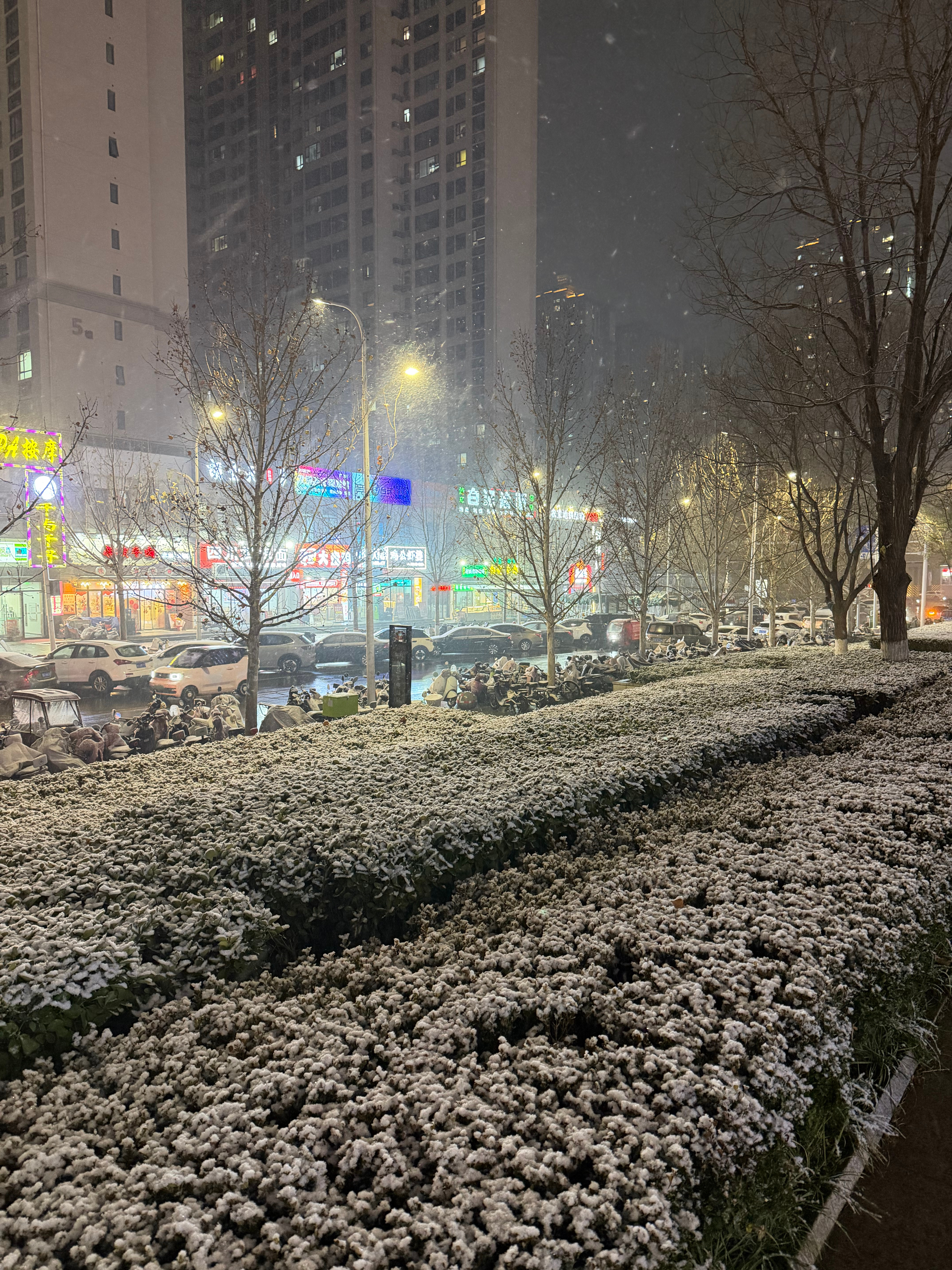 河南江苏等地雪灾风险高从傍晚就开始飘雪了，估计明天早上起来又是厚厚一层积雪。相关