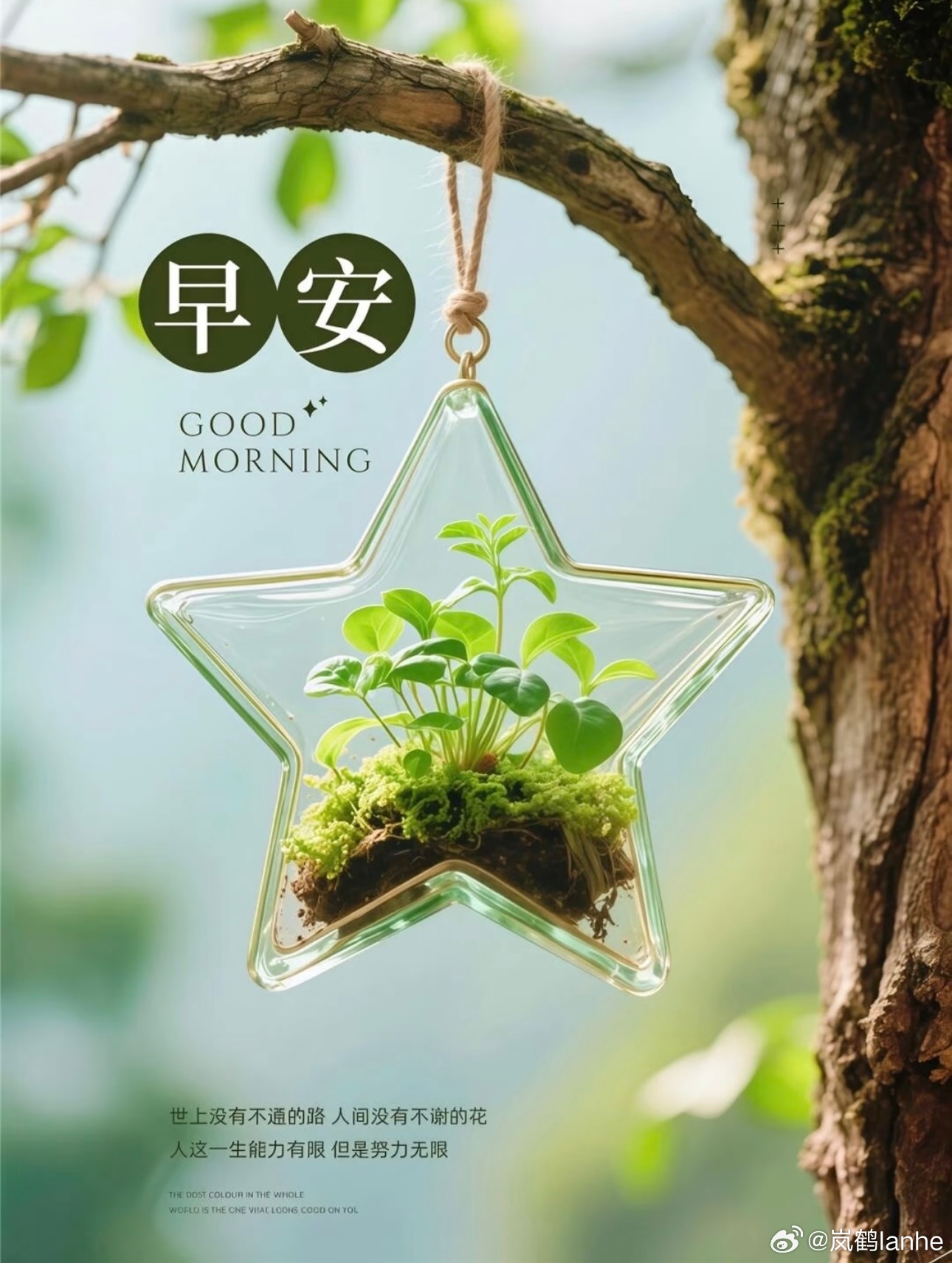 早安  hyr早安 你要永远自由、浪漫、有趣，爱自己这件事，永远来得及。耐心一点