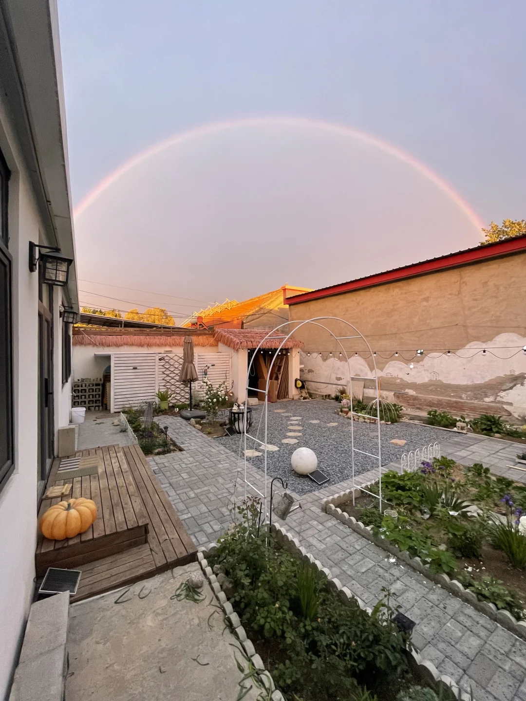 小院彩虹🌈奇观，假期的小院生活真丰富