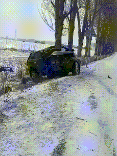 怎么个情况，车里长出一棵树来。
交通安全警示教育视频，网友3月3日发布，看路面上