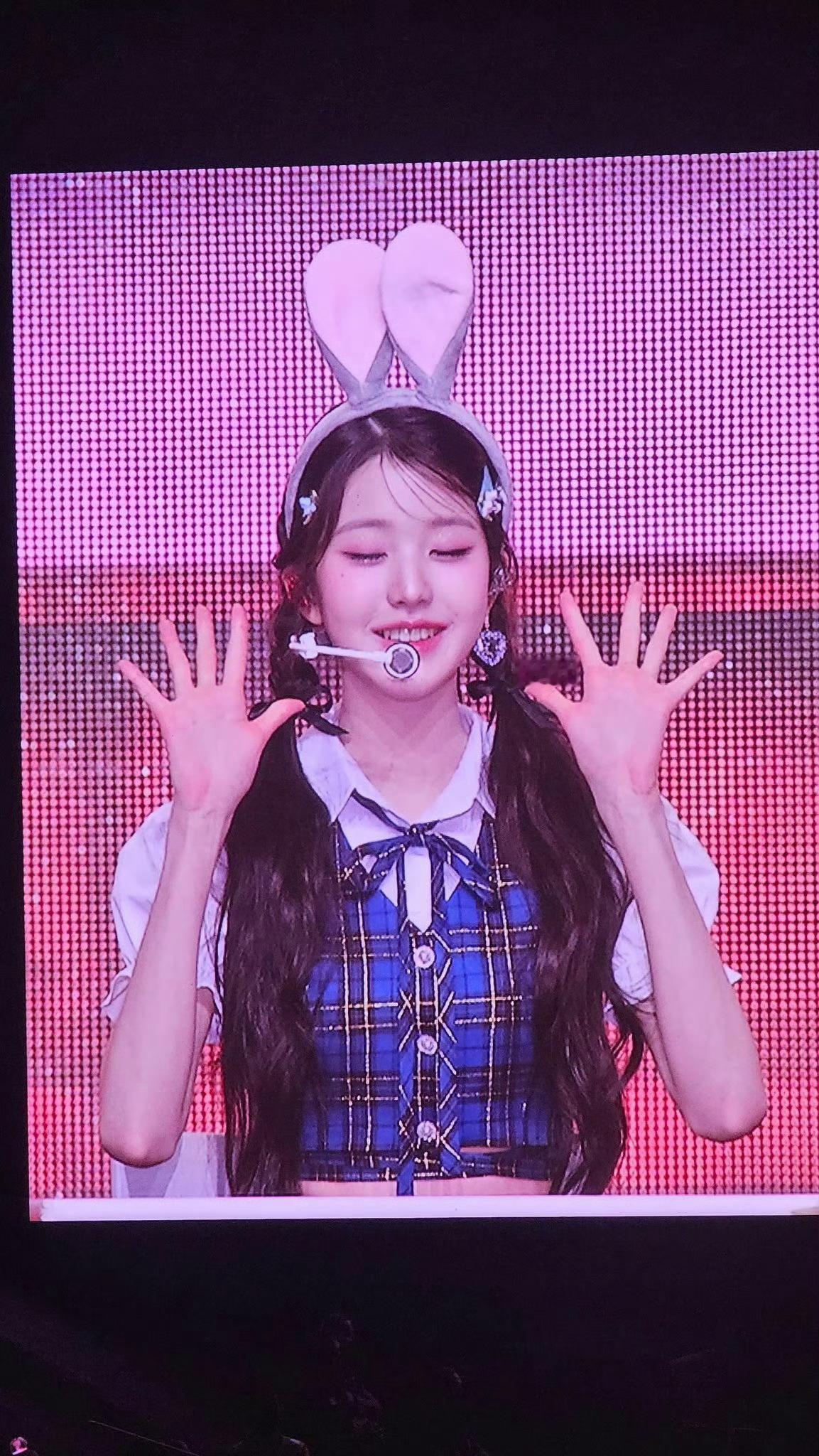 你是我捧在手心的 一小团软乎乎的兔子🐰张元英