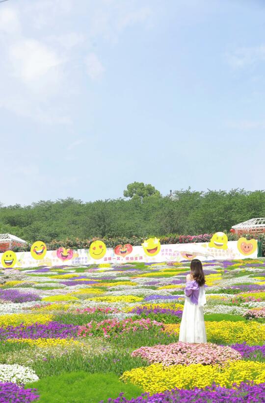 掉进了油画般的夏天里