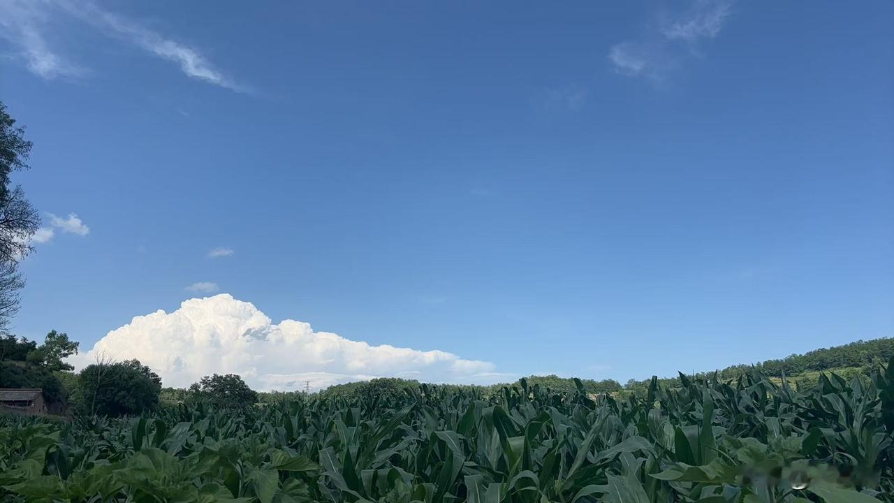 当你难过的时候抬头看看天空吧，它那么大一定能包容你所有的委屈……