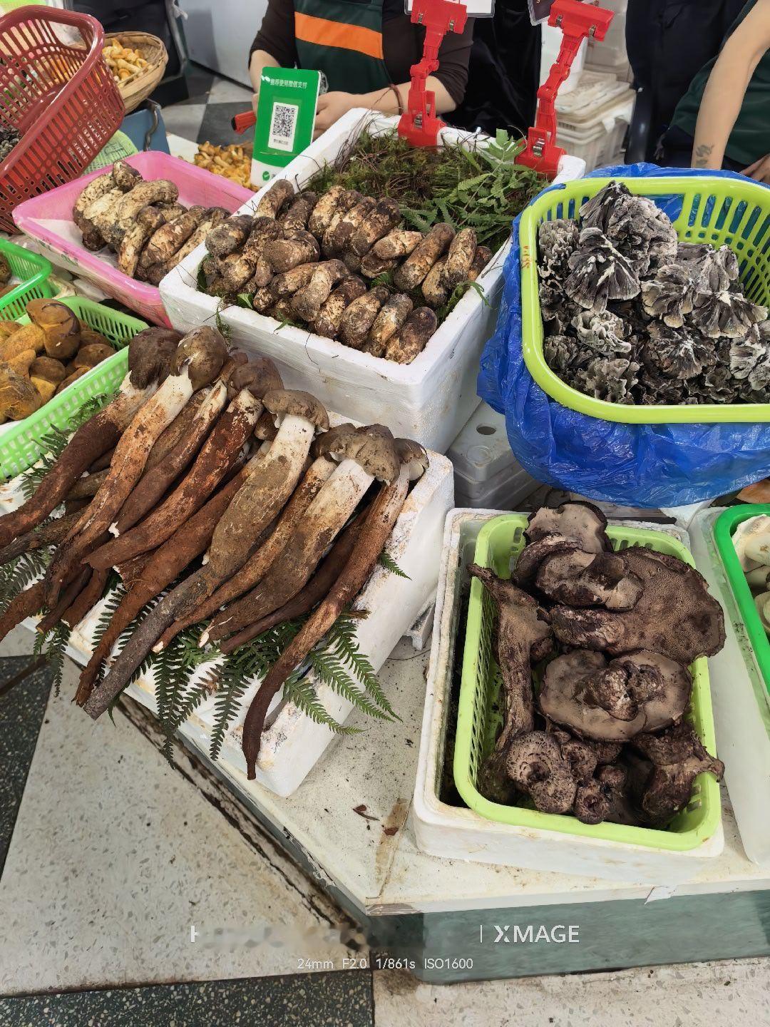 逛云南菜市场就像逛博物馆 云南由于地处亚热带气候，所以植物的种类是非常丰富的，因