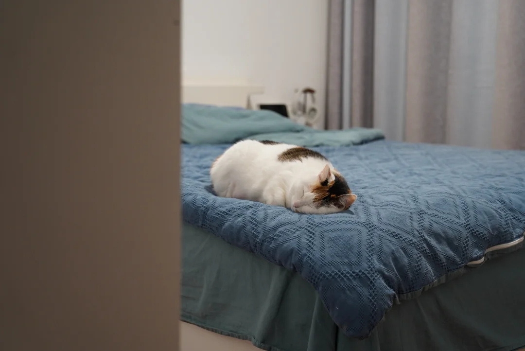 洗漱完一推开门就看到……