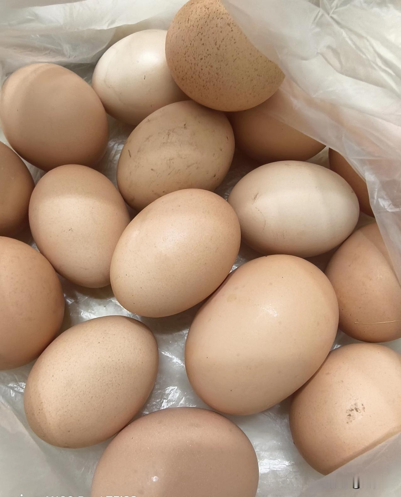 一说到辨别土鸡蛋和饲料鸡蛋，就会有人告诉你从外观、蛋壳、蛋黄蛋清 3个方面来辨别