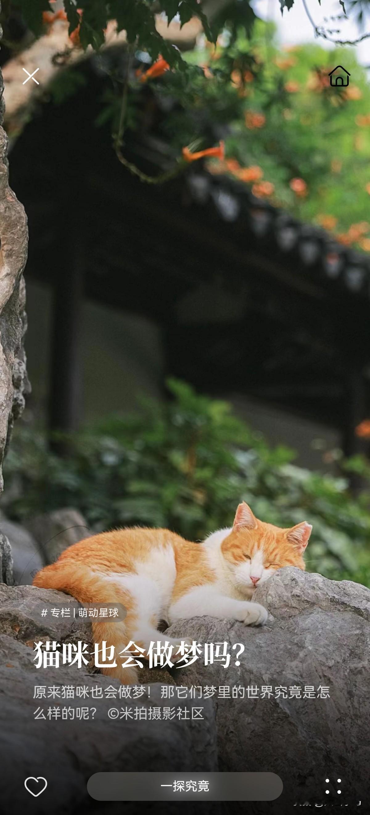好巧不巧，龚今日当选，陈今日被查。长治久安。
