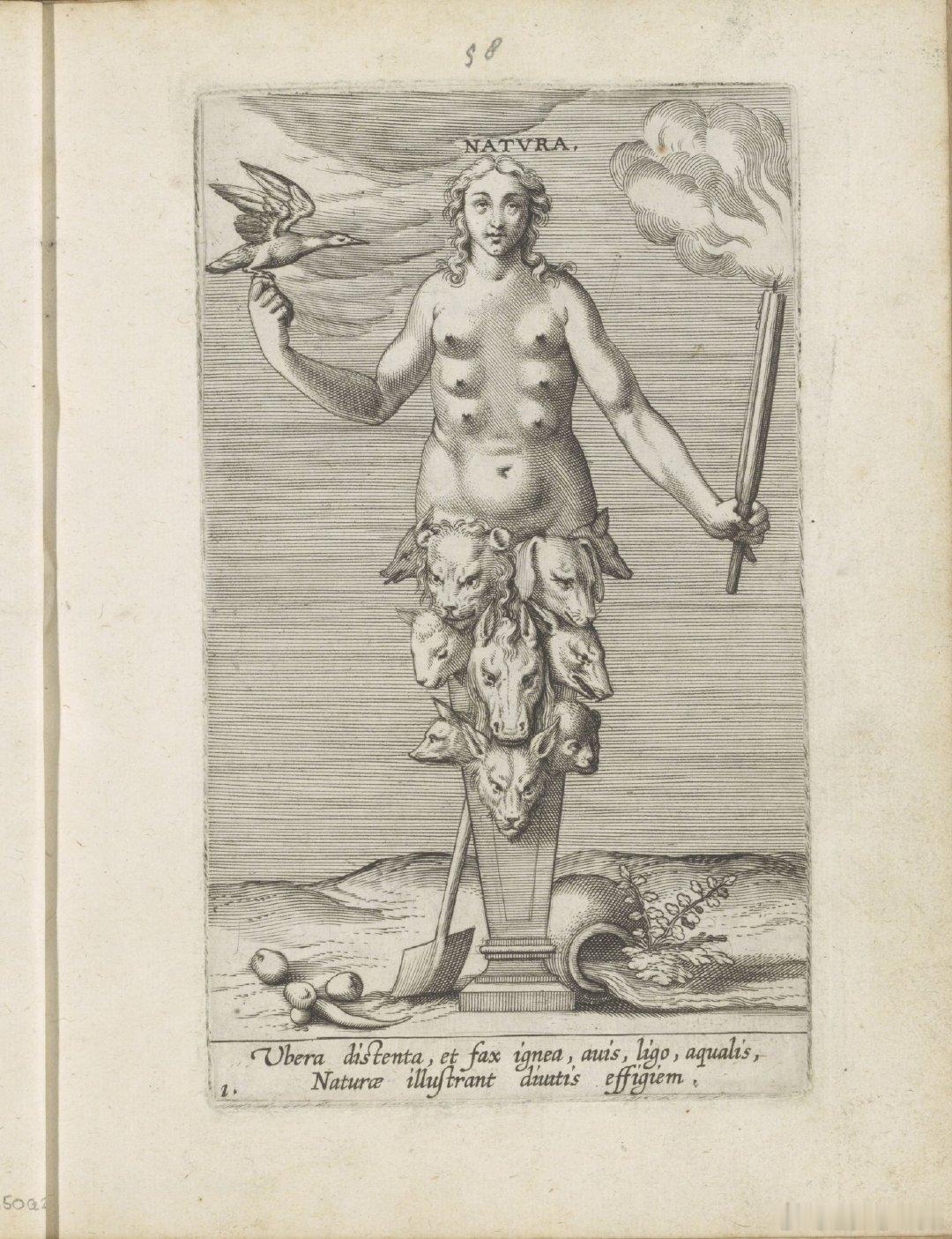 西洋历史文化鱼缸 荷兰版画家菲利普·加勒（Philip Galle ，1537 