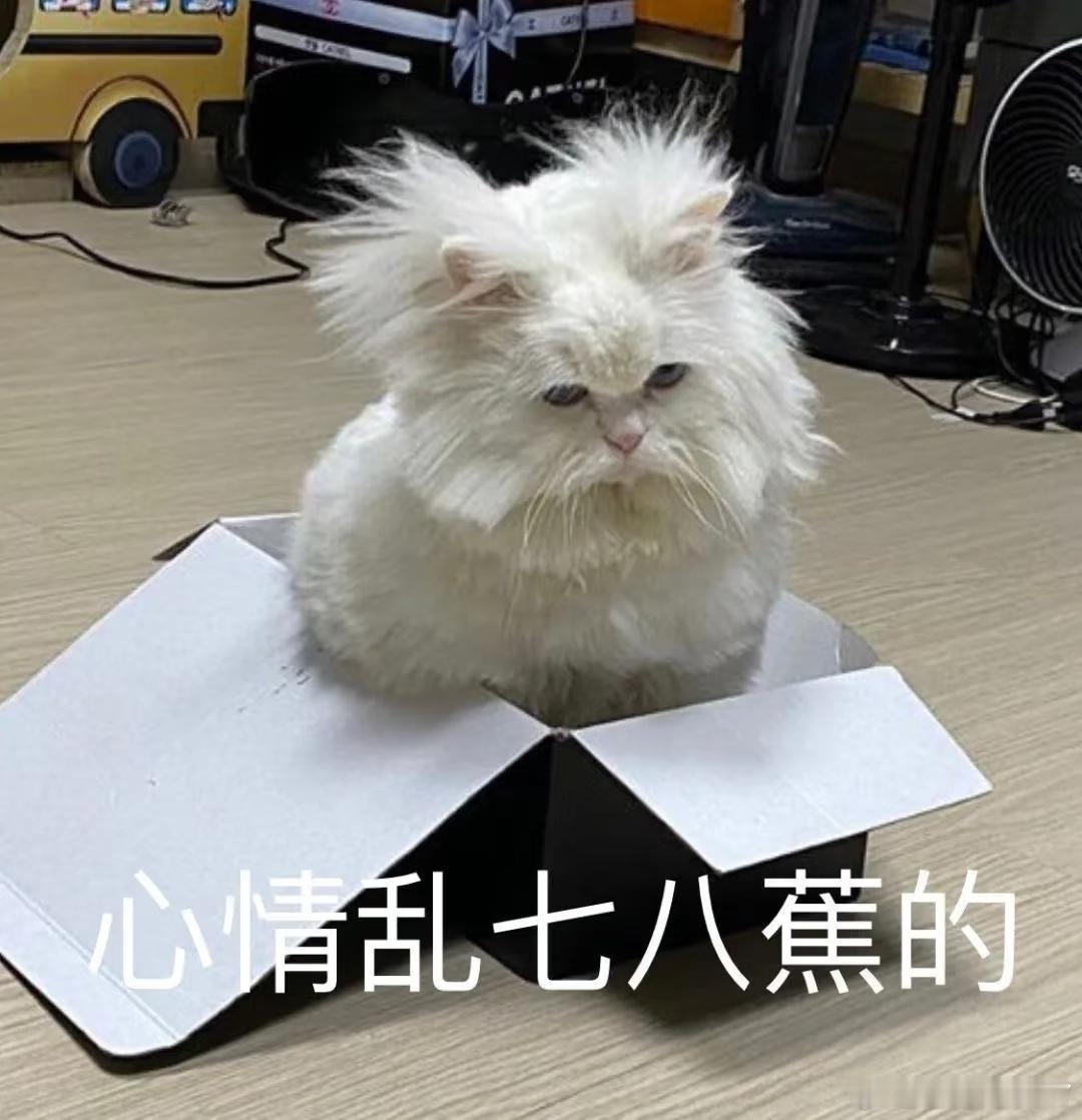 这次假期哪儿也没去，就窝在家里宅着。追追剧、听着窗外滴滴答答的雨声，顺便刷刷大家