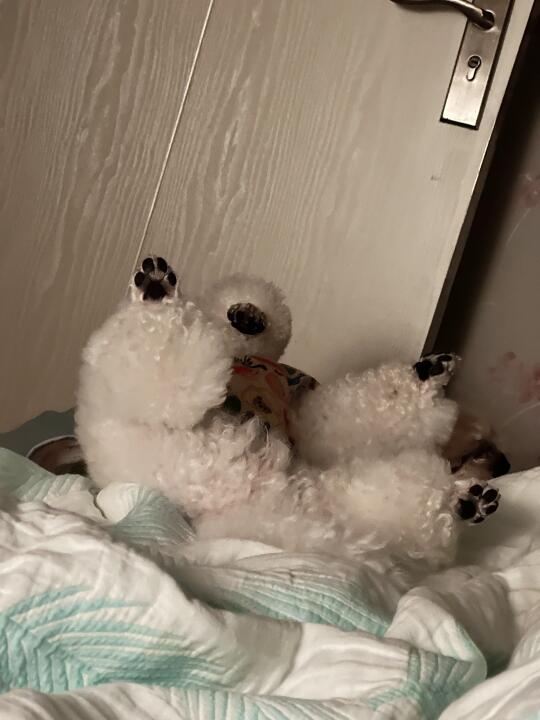 我独蛋侠🥚给大家表演一个劈叉吧