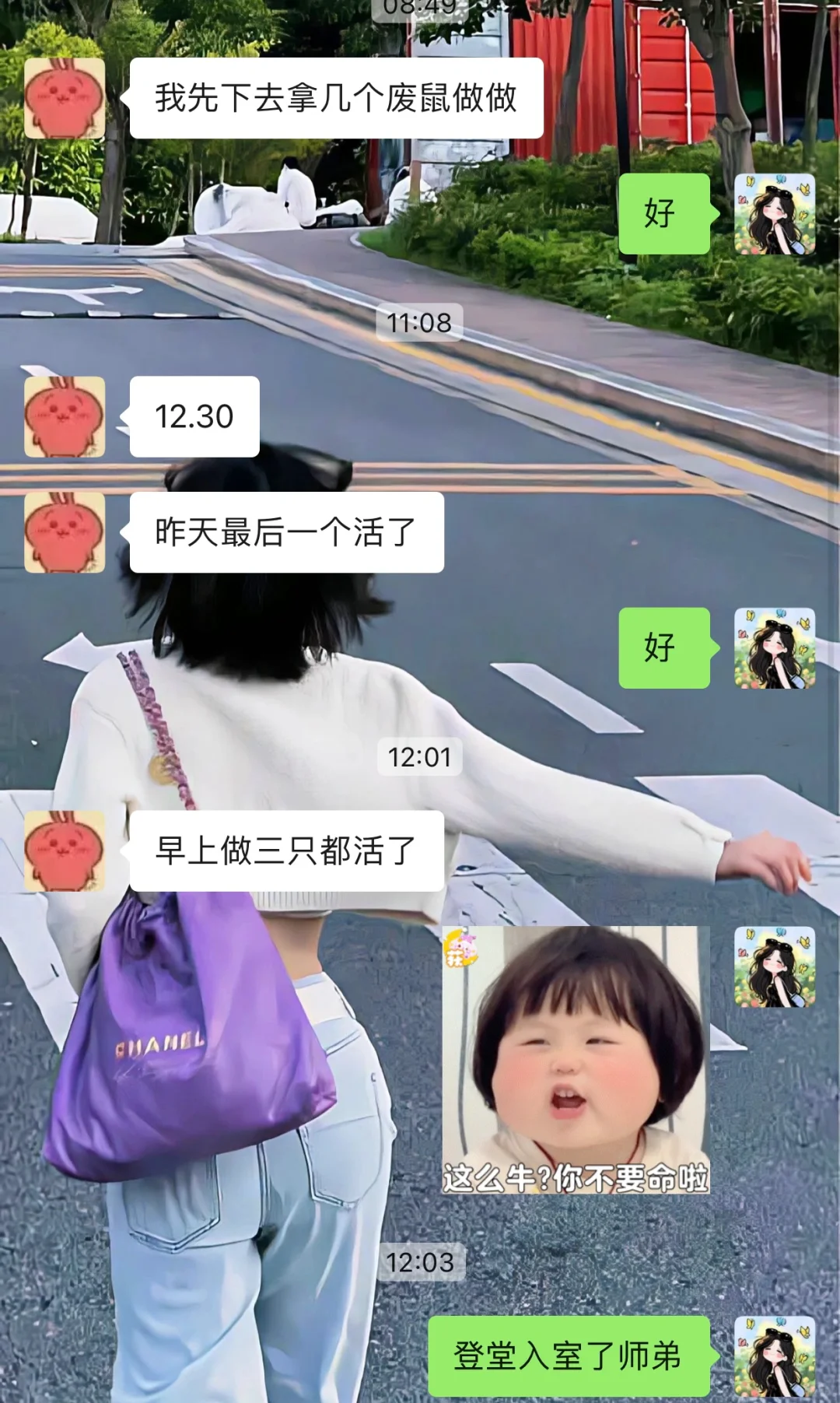 师弟动物实验成功率从10%到92%