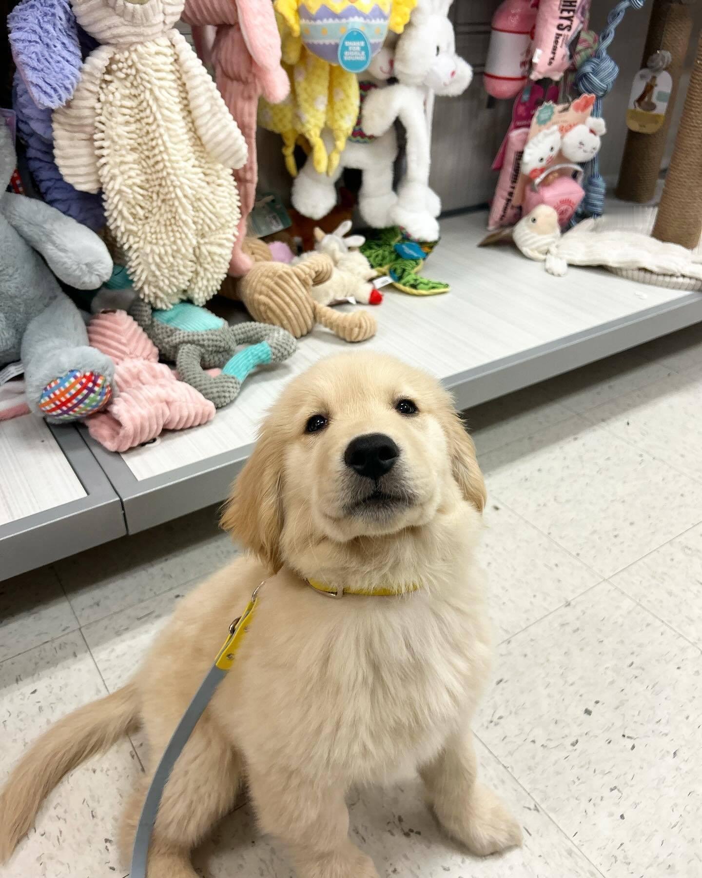 考试考了全班第二名难道不应该奖励我噜？隔壁耶耶60分都有！ 