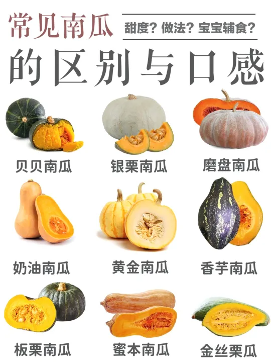 南瓜控集合🎃 常见南瓜种类大揭秘