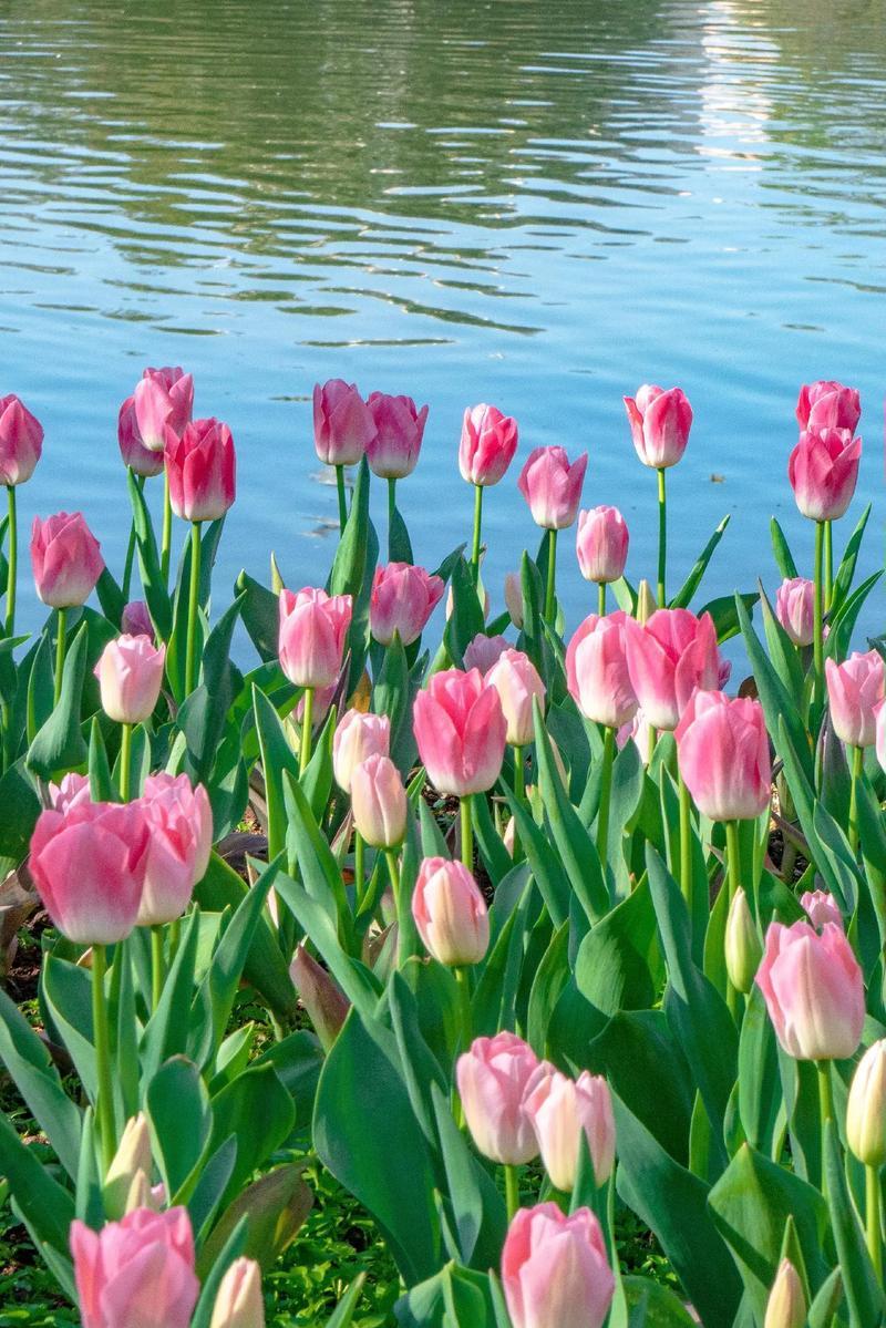 一个长期保持单身的人，
不管男女，
必定是自律又清醒的狠人！

千万别随意招惹他