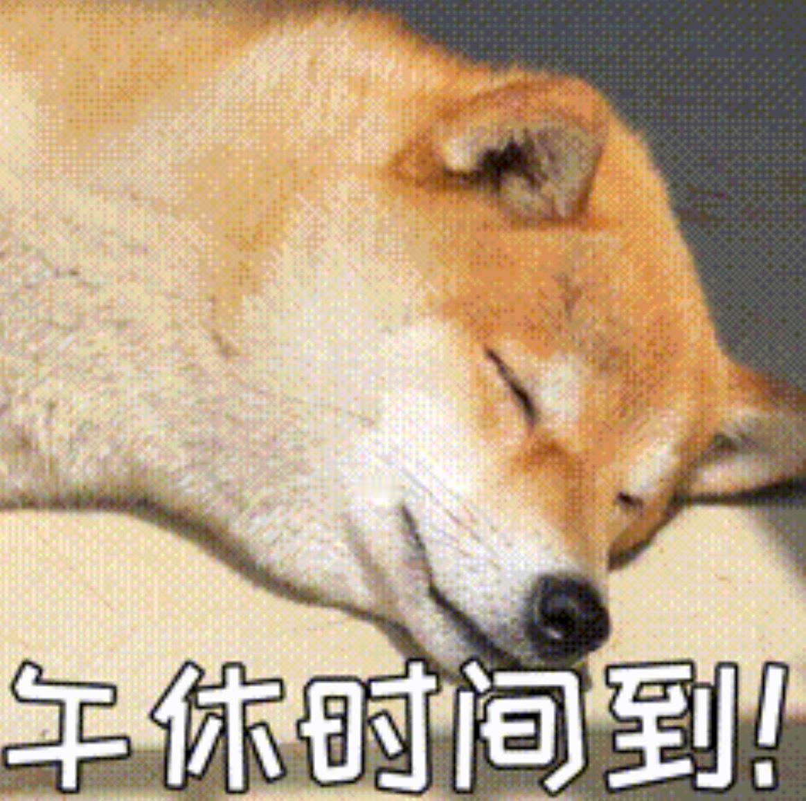 这天气不睡午觉的话，真的没动力上下午的班