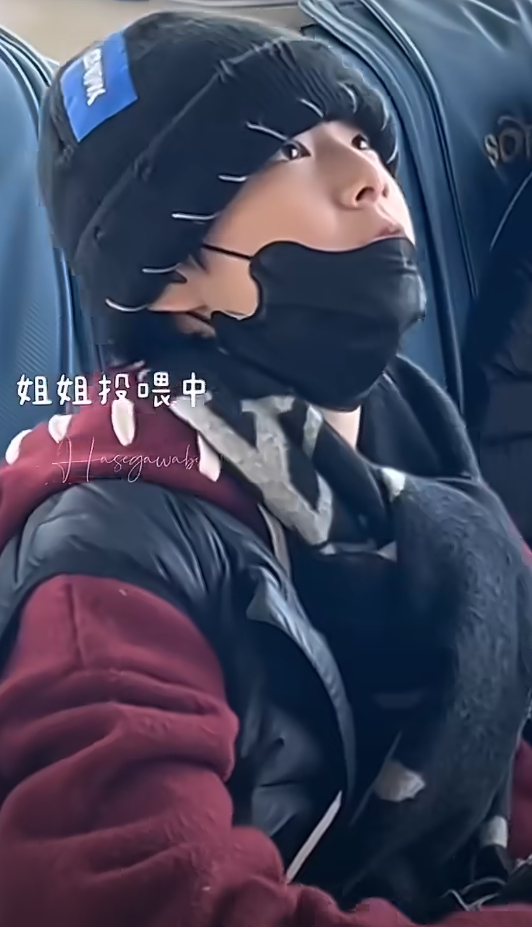 被姐姐投喂就这种眼神抬头 