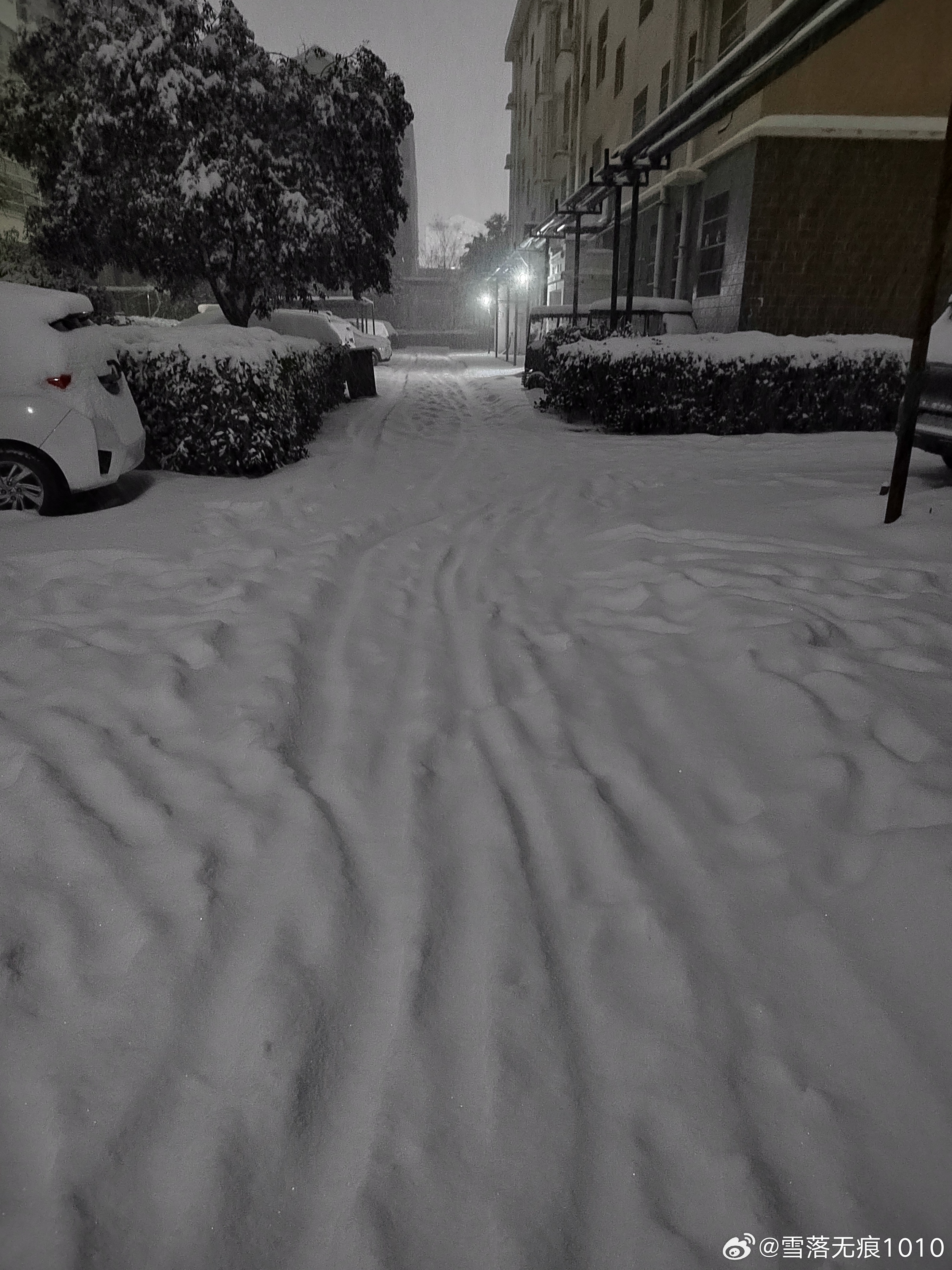 豫鲁苏皖鄂湘多地中小学幼儿园停课 昨天发了停课通知，今天居家学习。今天下午又发了