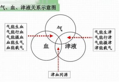口干舌燥？尿频尿多？就是伤津了

中医上为什么说伤津要补气？
 
中医上认为气能