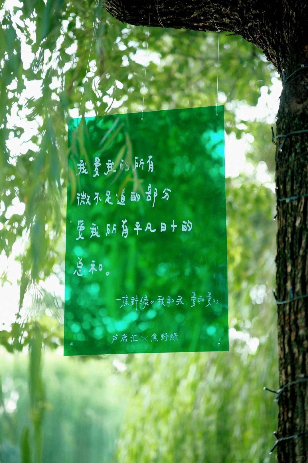 嘉兴诗歌展｜日子很好，我很我！