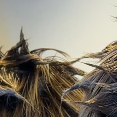 生活的暖意，藏在家人朋友的无声牵挂里。妈妈塞进行李箱的叠好衣物，里面夹着写满叮嘱