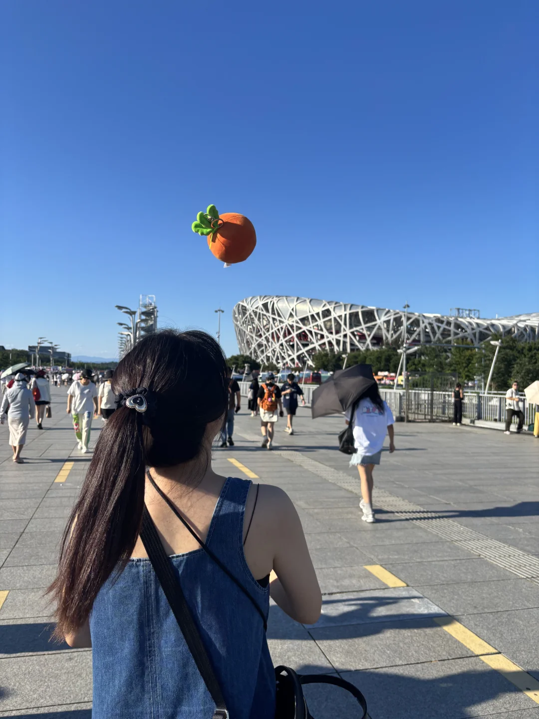 有一天就是今天