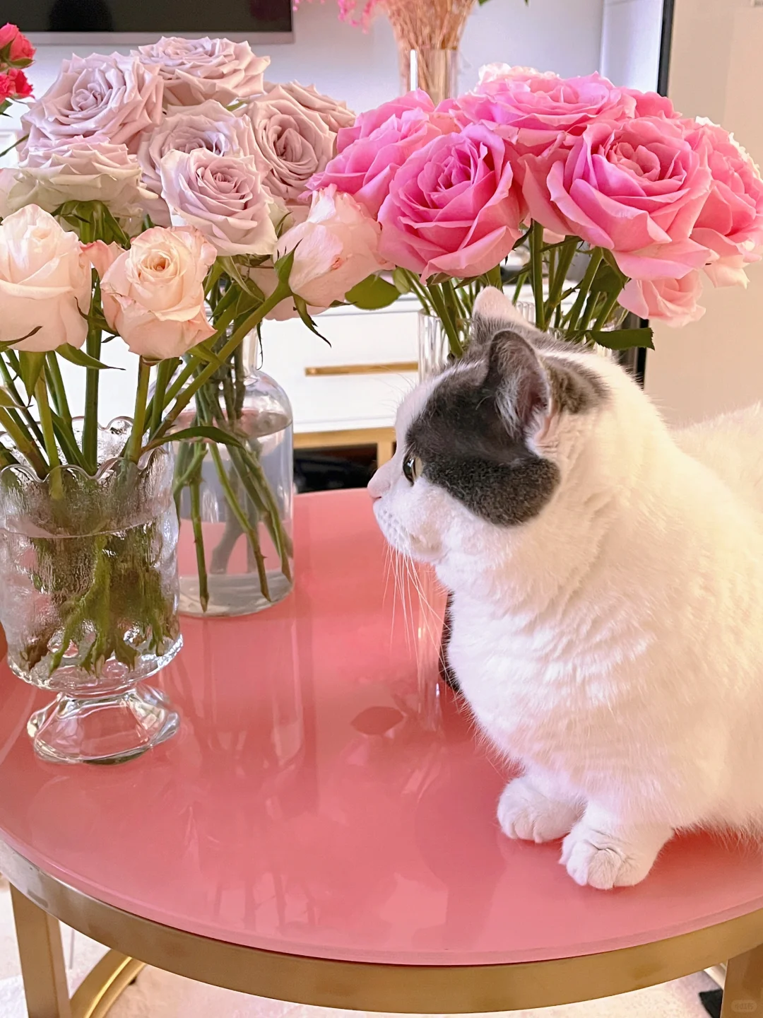 第一次出款新衣服登录没有人催🙈