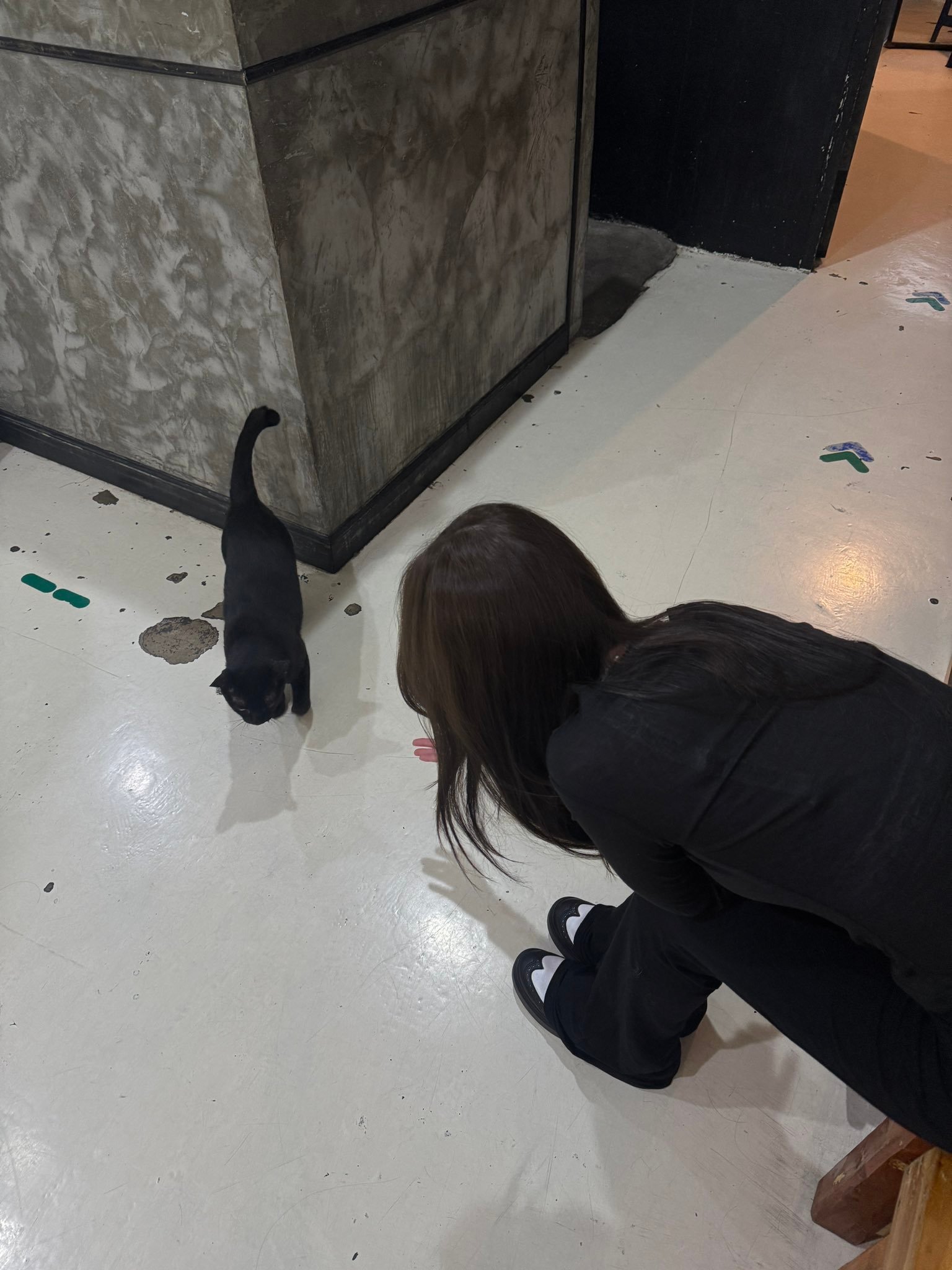 卧槽您们