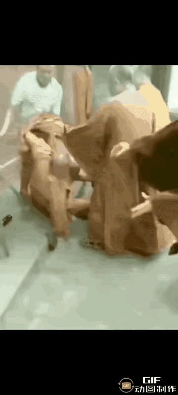 星爷已经明示过