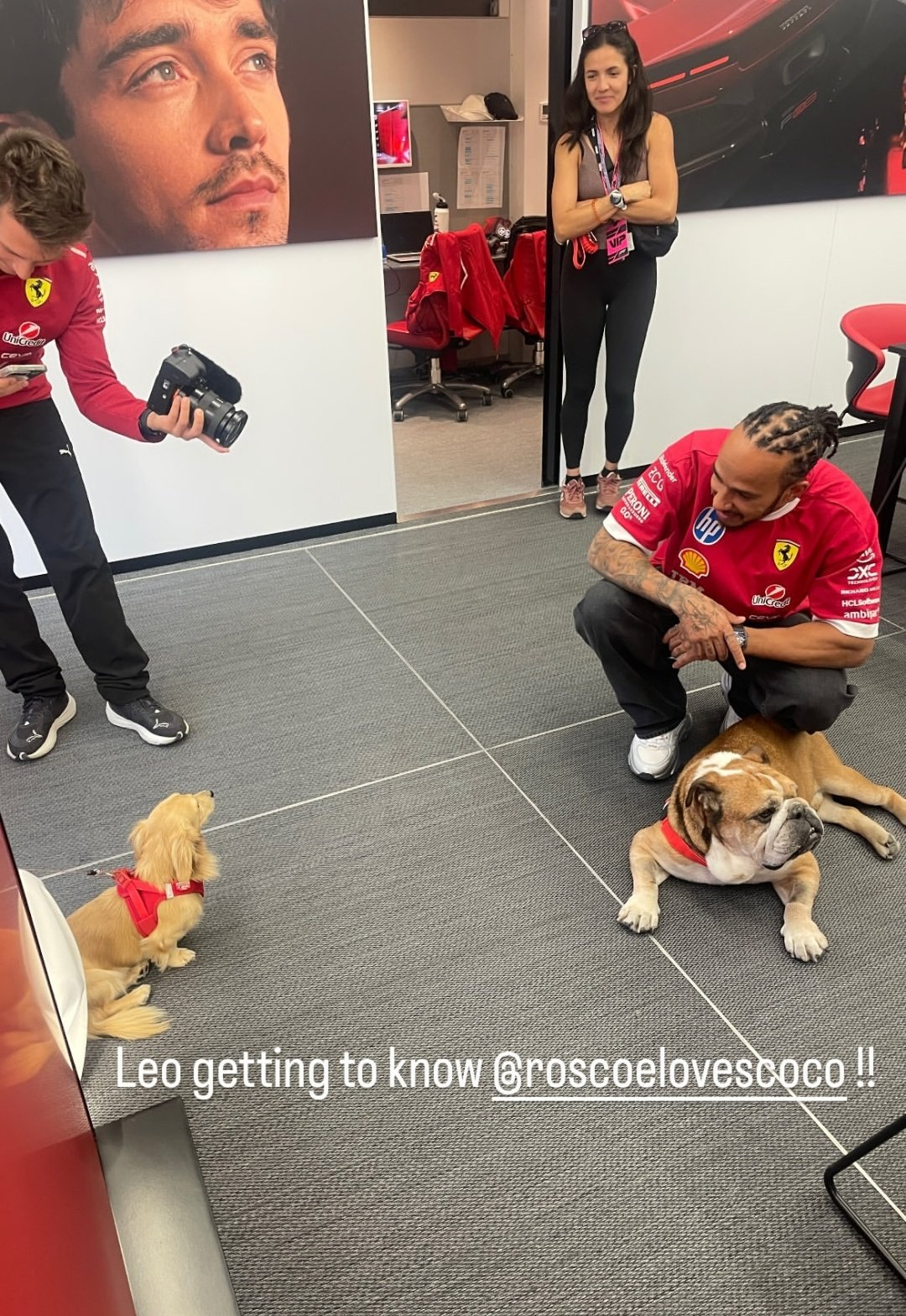 Leo和Roscoe又见面了，这次两位家长穿的是同色衣服了[doge]F1202