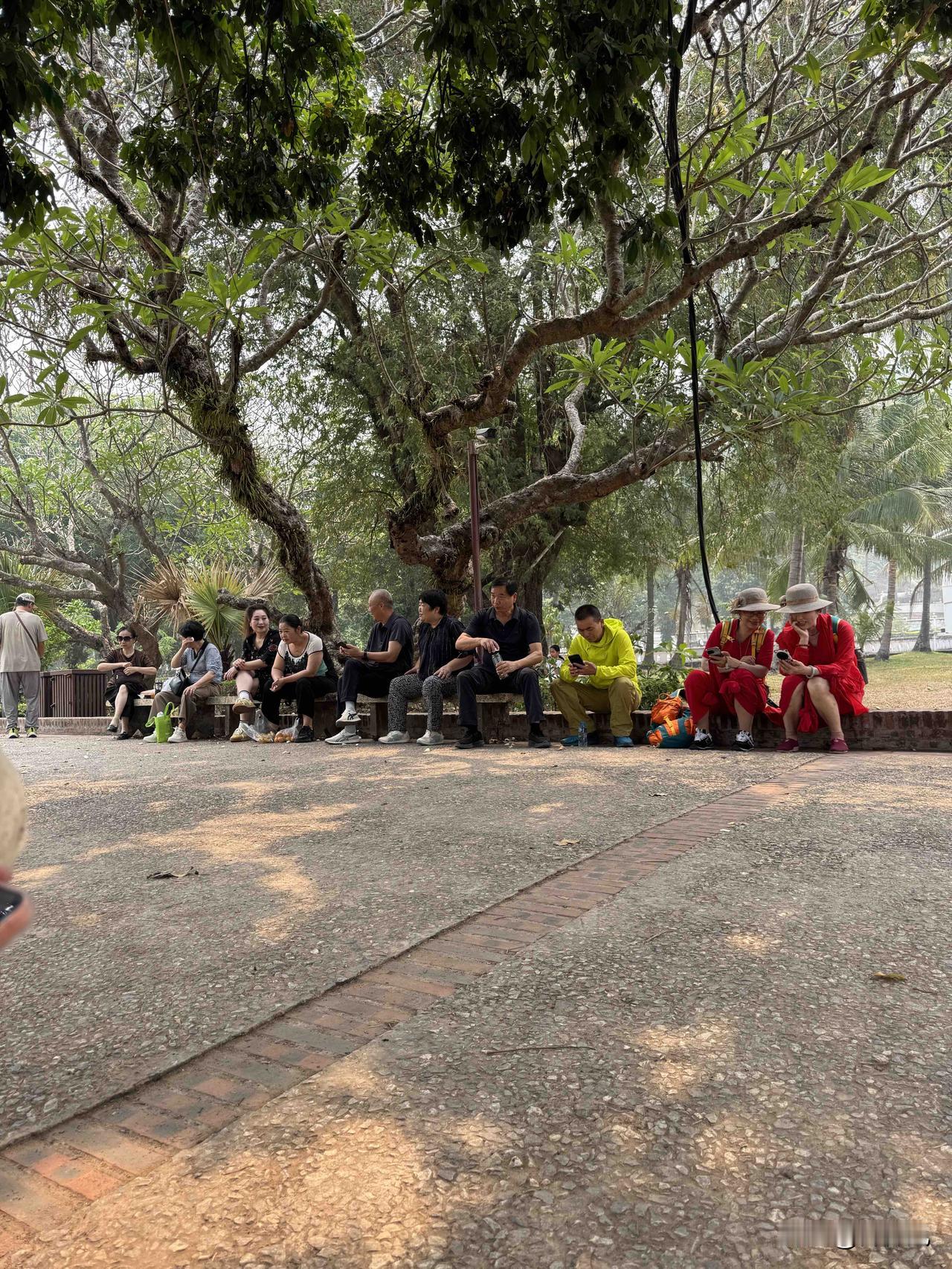 在老挝一个公园拍的，中国大妈一身红裙着实打眼。

红色服饰一个人穿戴还行，一帮人