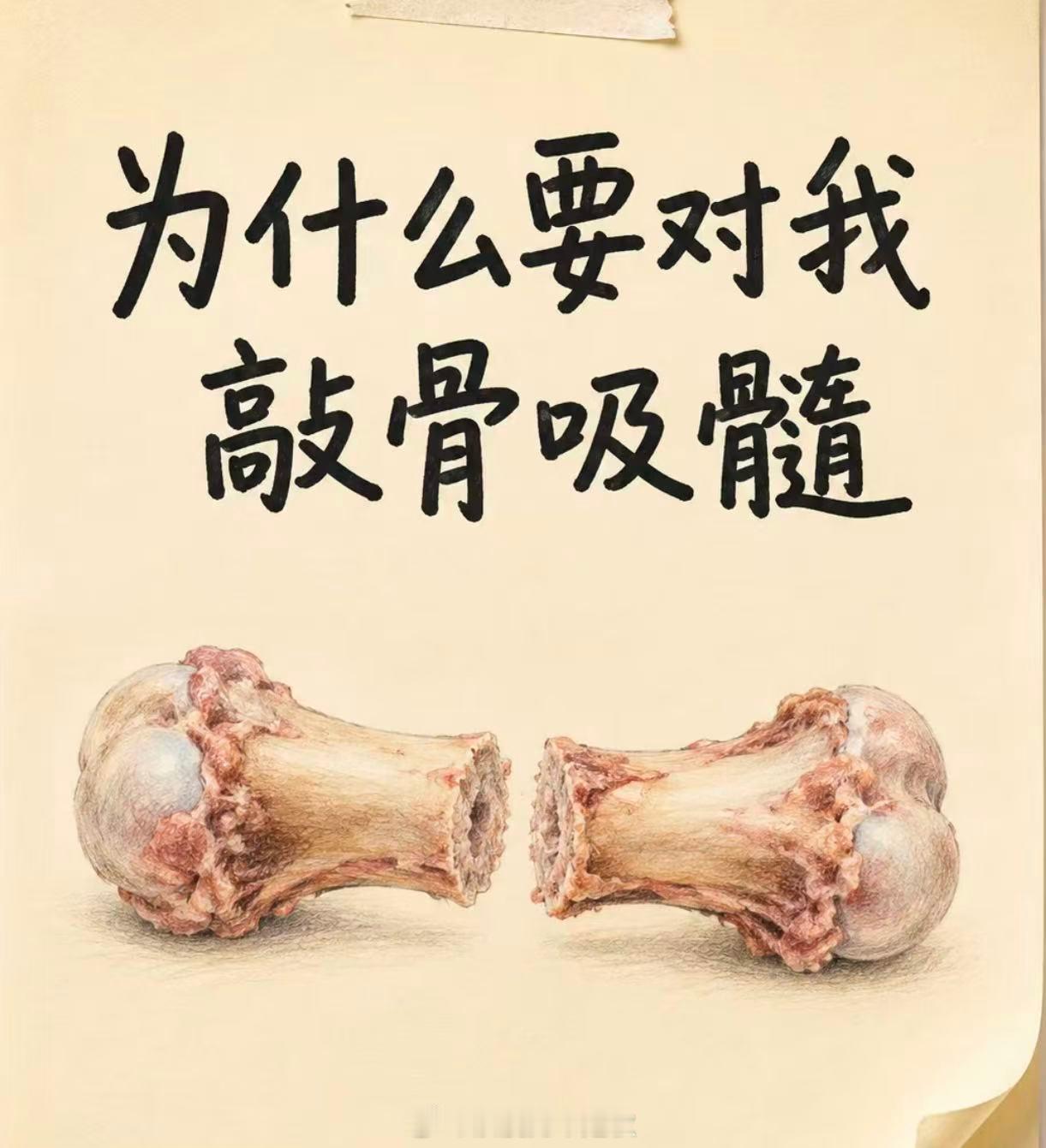 空枪 敲骨吸髓看完《空枪》才读懂背后沉重的隐喻，欲望层层裹挟之下贪婪不断滋长，人