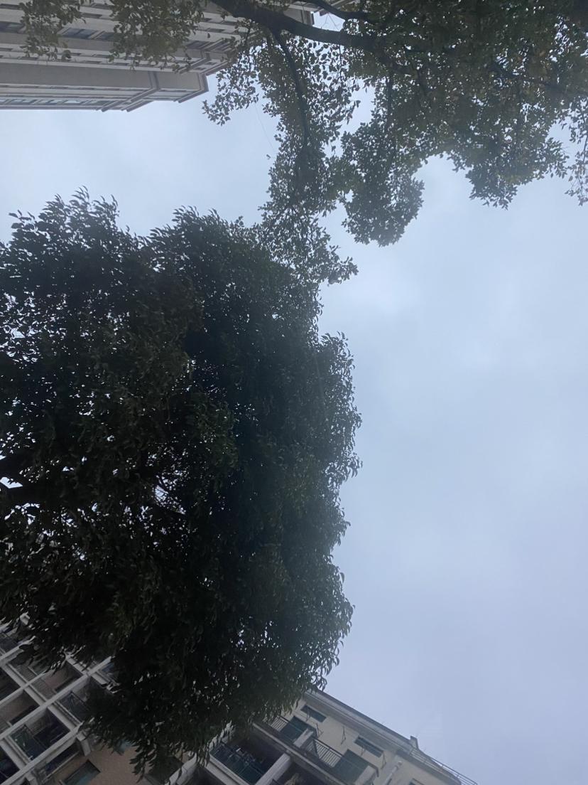 我的今日状态：💰期待暴富
我这里的天气：🌤️多云