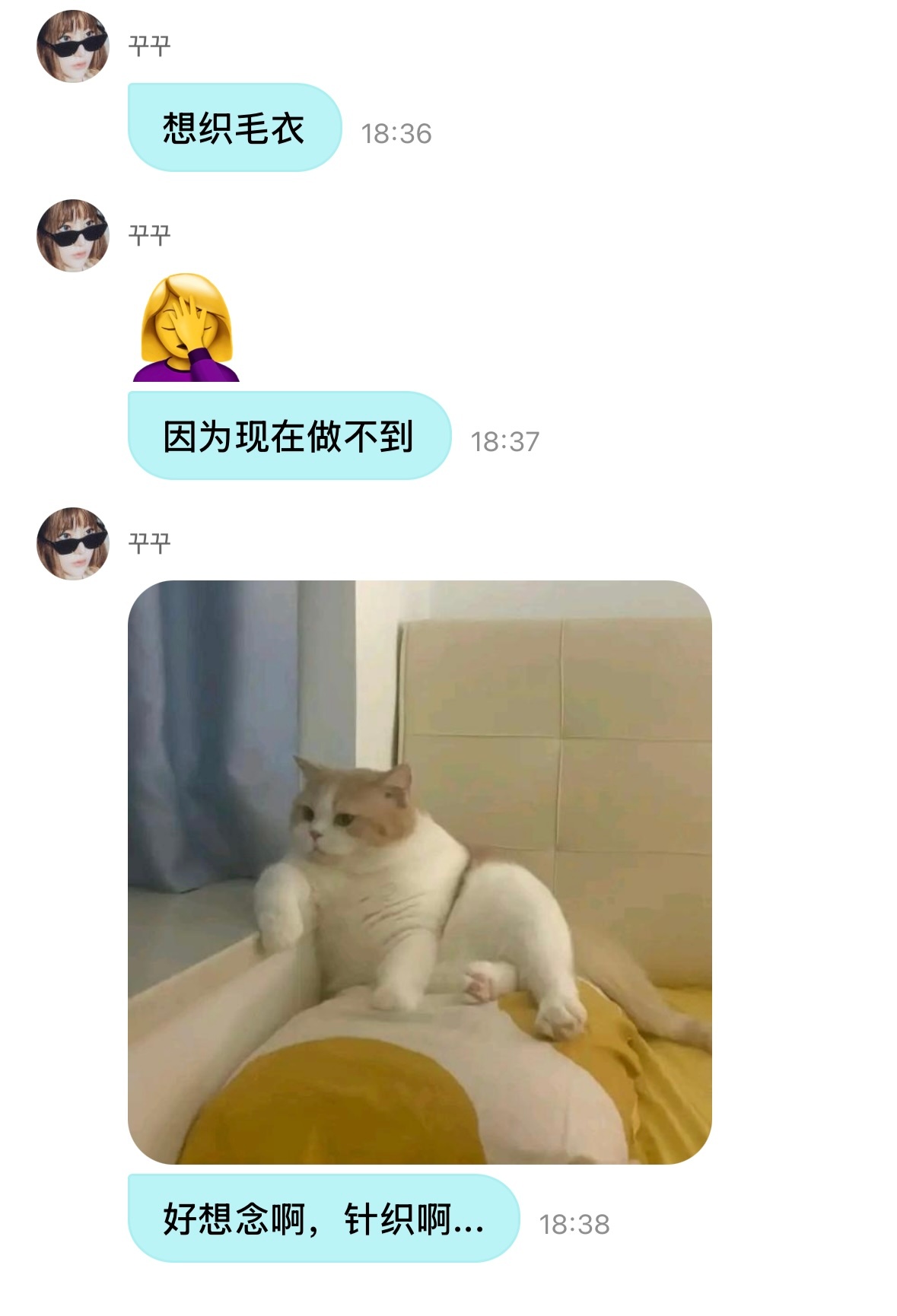 猫图过多！ 