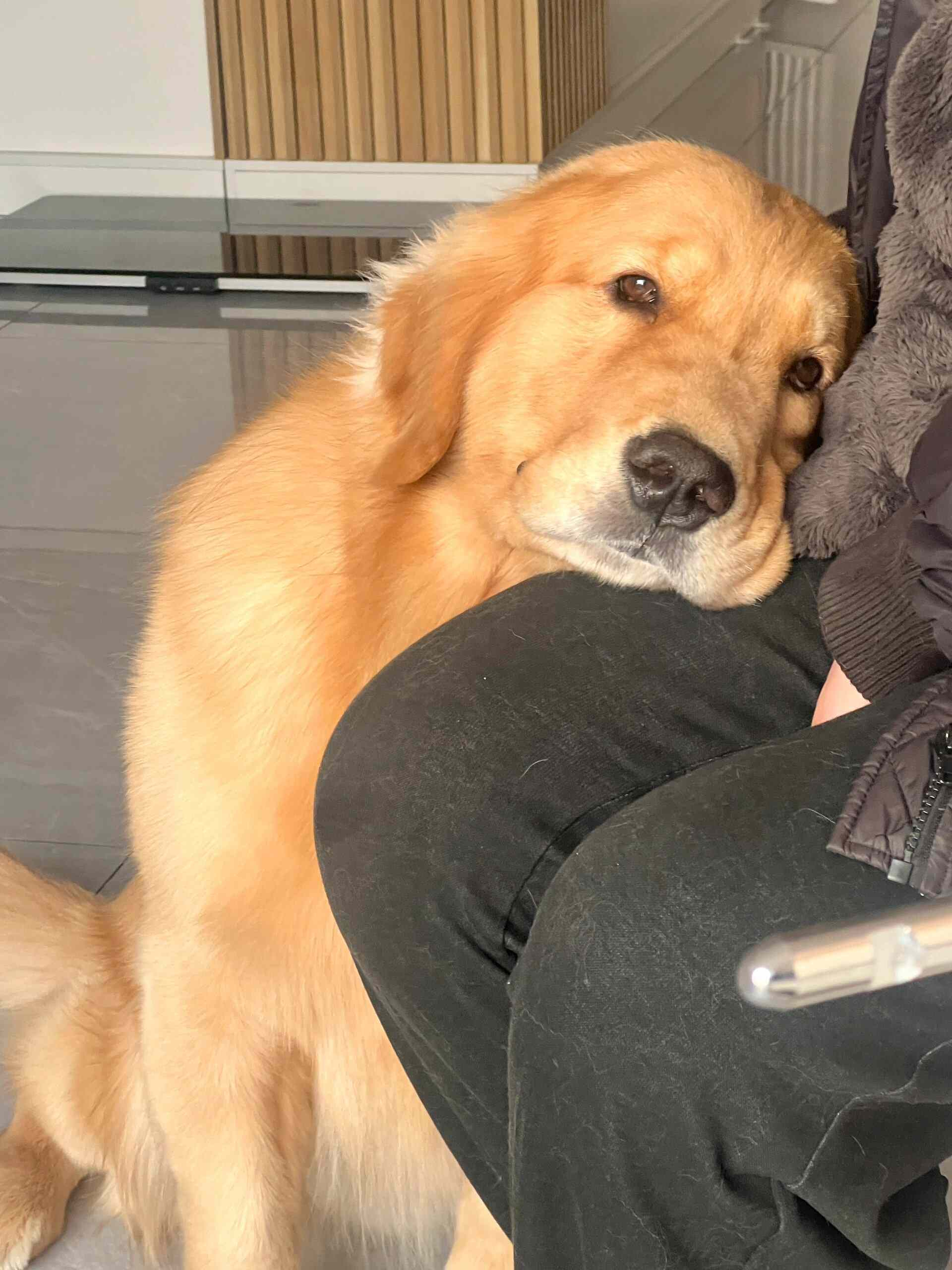 麻麻，我们下午去找耶耶玩好吗？ ​​​