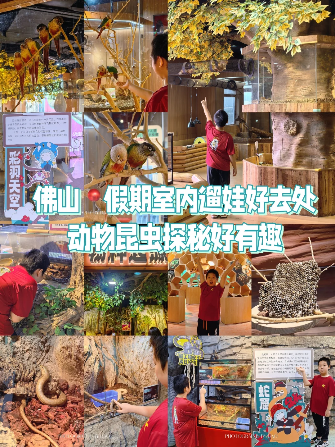 假期室内遛娃好去处｜动物昆虫探秘好有趣