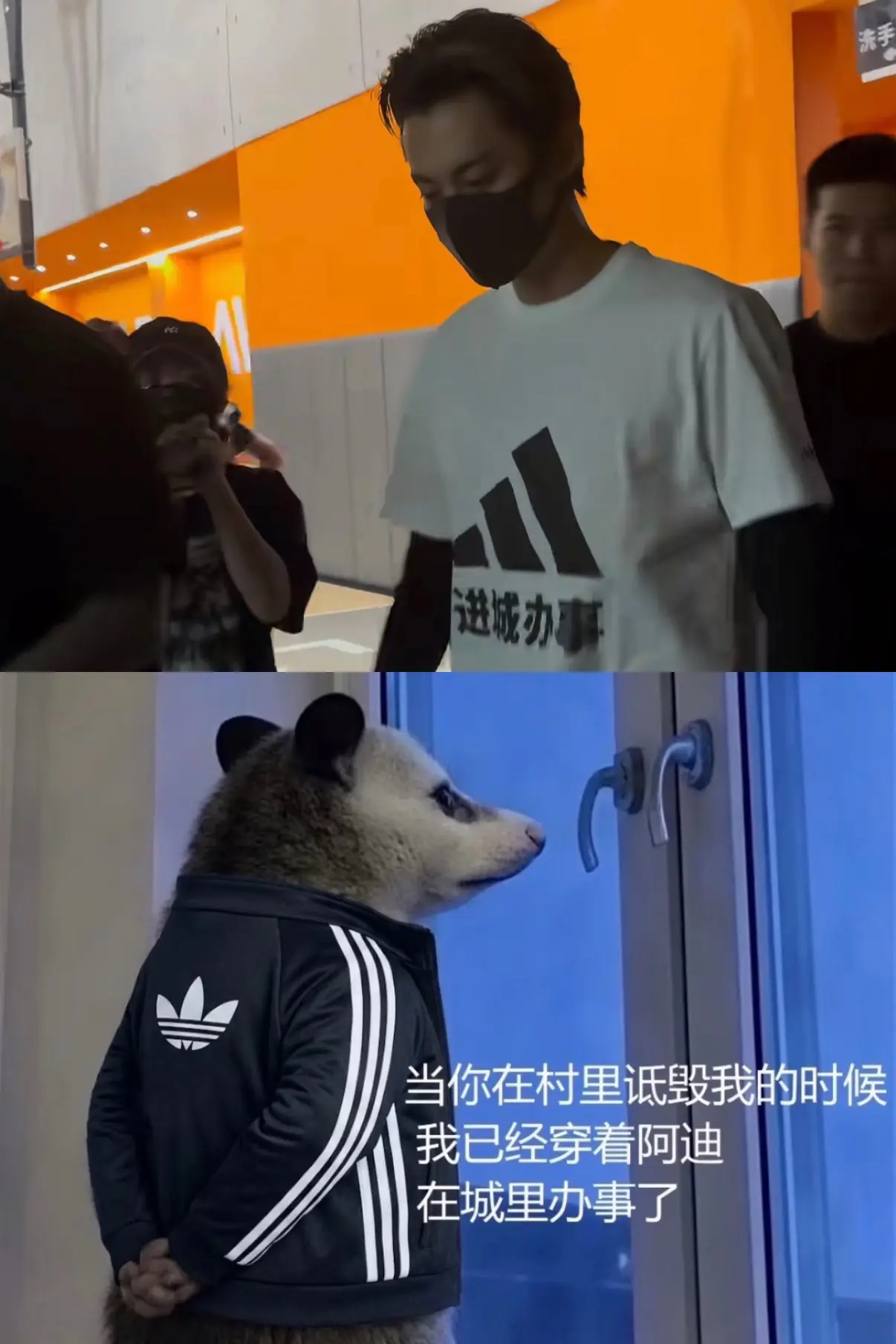 阿迪达斯品牌全系代言人绝不对错过任何一个梗