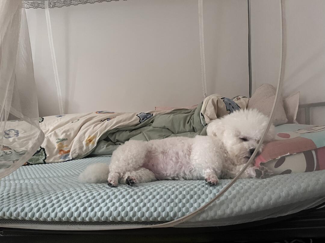 像个小人儿睡觉，舒服吼