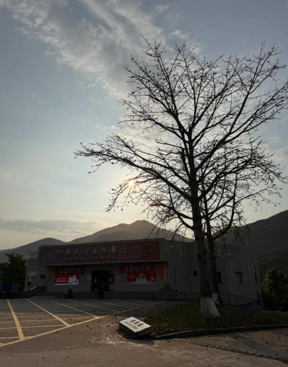 上四休三变降薪？别被套路了
亲爱的朋友们大家好，我是海林小百科，今天我们来看看上