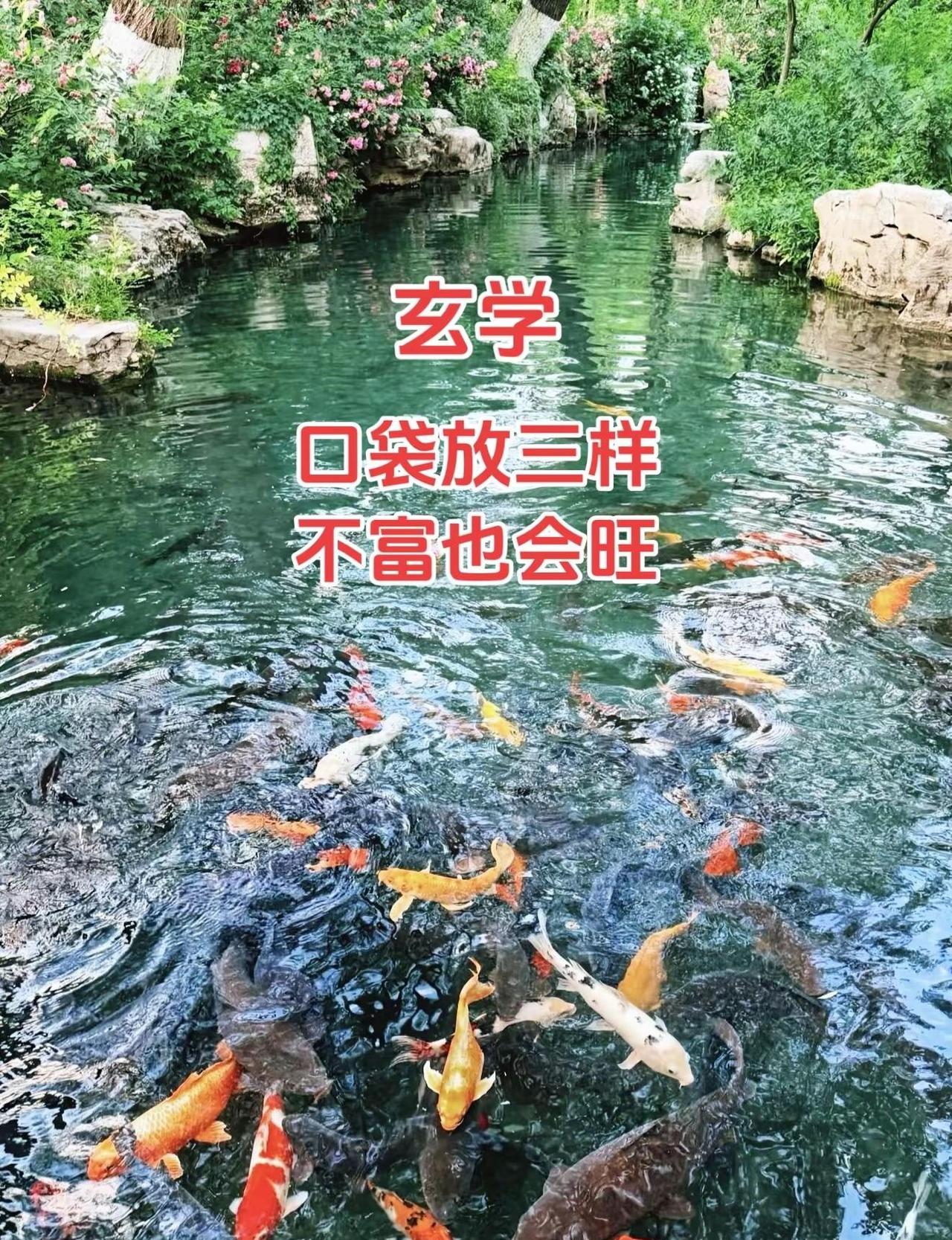 看国内斯诺克 比赛太激动了！常冰玉 小组赛三场全赢，稳稳排在小组前几名顺利出线，