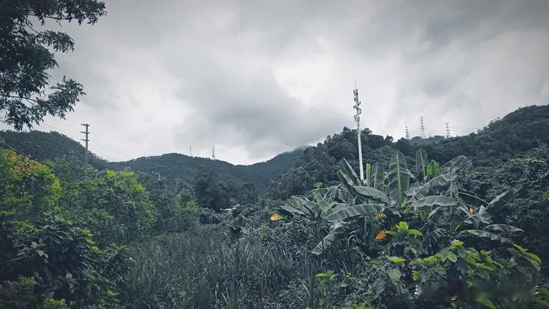 对任何关系保持警惕❗❗❗
太多苦命的剧本，都是被关系推着走的。
去链接大自然，日