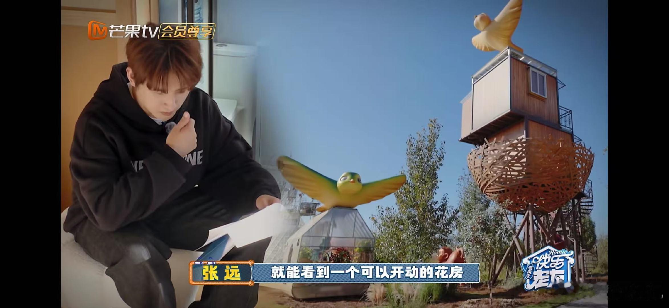 真给张远做了个鸟巢 快乐老友记给张远做的“鸟巢”太有爱了，在这小小的天地中，远子