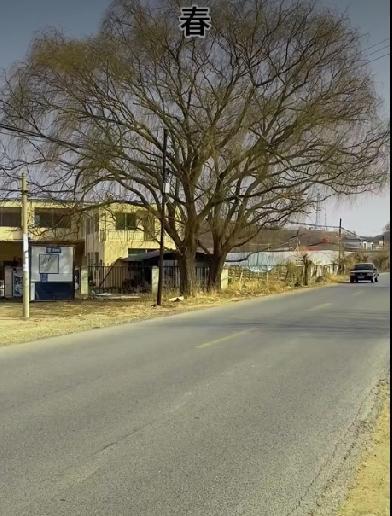 郓城县双桥镇太平村


【沿革】 清雍正年间（1723—1735年）葛、程、丁、