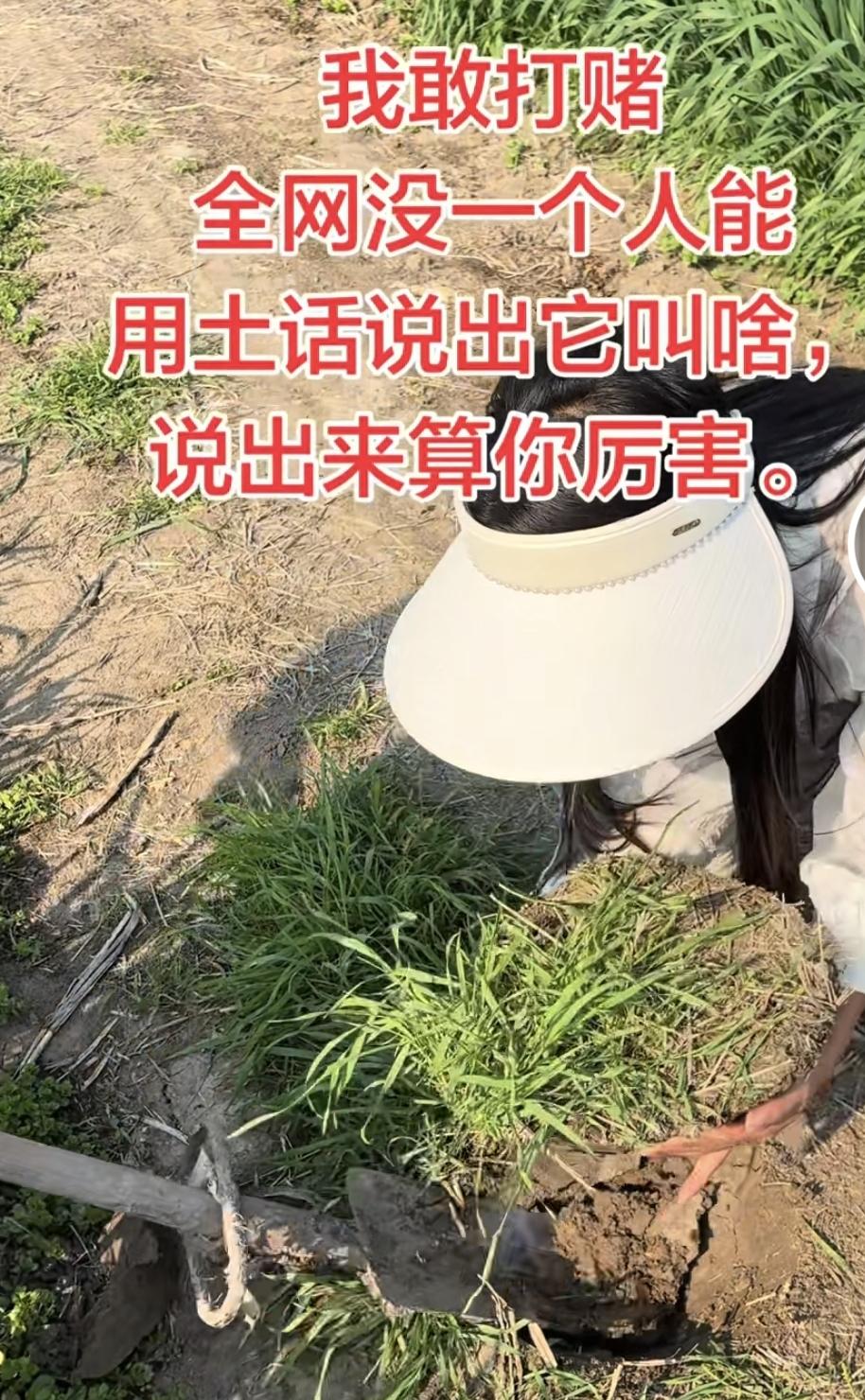 又一年的清明节，爸妈已经走了很久，很多年没有给他们做坟了，因为我给他们安置去了墓