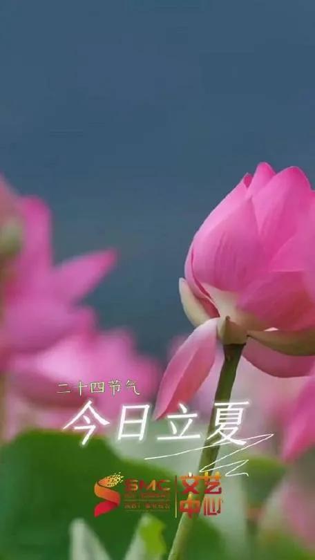 立夏，这个标志着夏季正式到来的日子，究竟有哪些有趣的传统习俗？让我们一起探寻这份