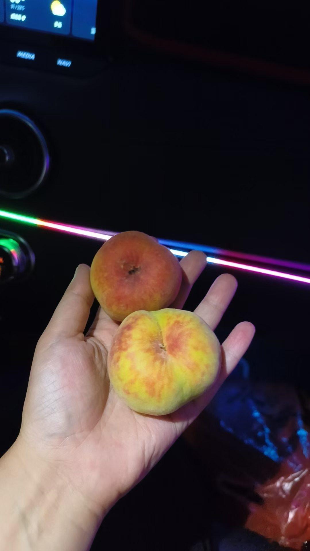 收获的季节