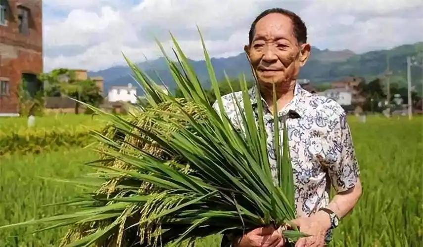 袁隆平吴孟超逝世五周年：他们的遗泽，至今还在护佑中国人？
5 月 22 日，又到