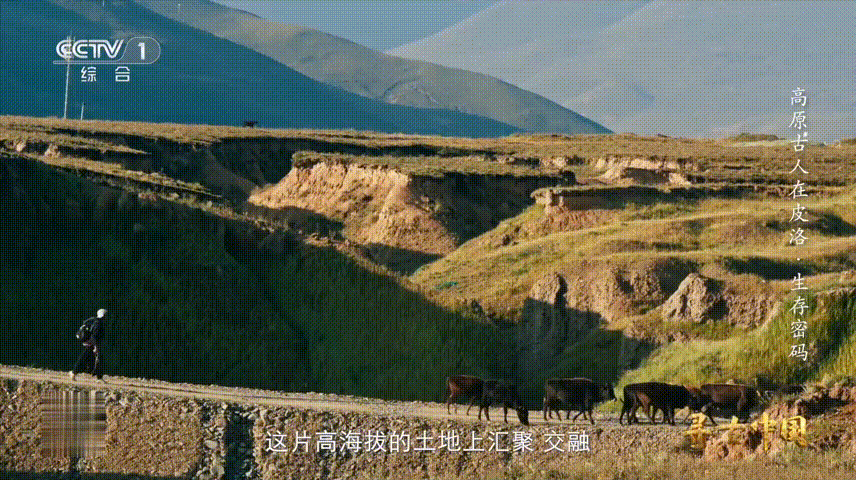 青藏高原有多处远古人类痕迹家人们！皮洛遗址的发现直接改写了东亚旧石器历史！以前说