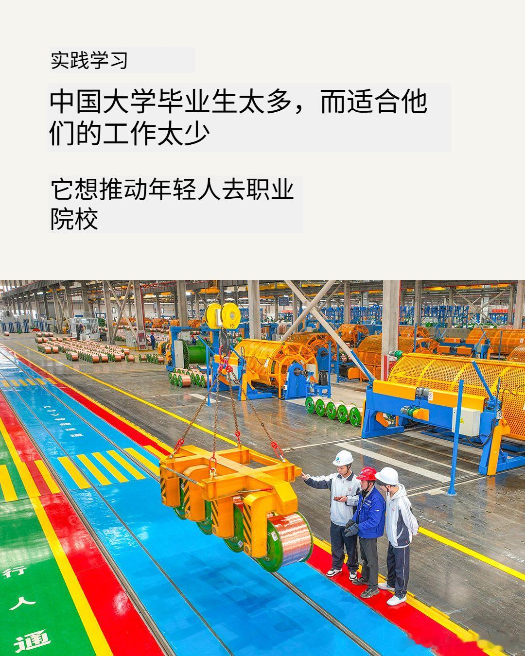 经济学人开始关心东大的职业教育现在X的网民也不容易带节奏了 