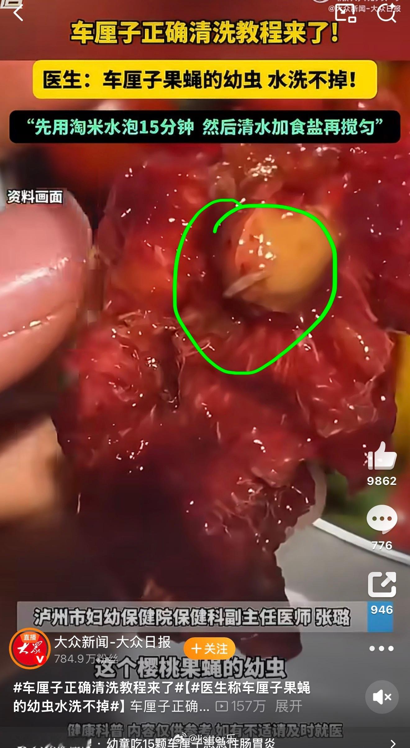 医生称车厘子果蝇的幼虫水洗不掉好家伙，今晚刚吃完车厘子，你让我看这个