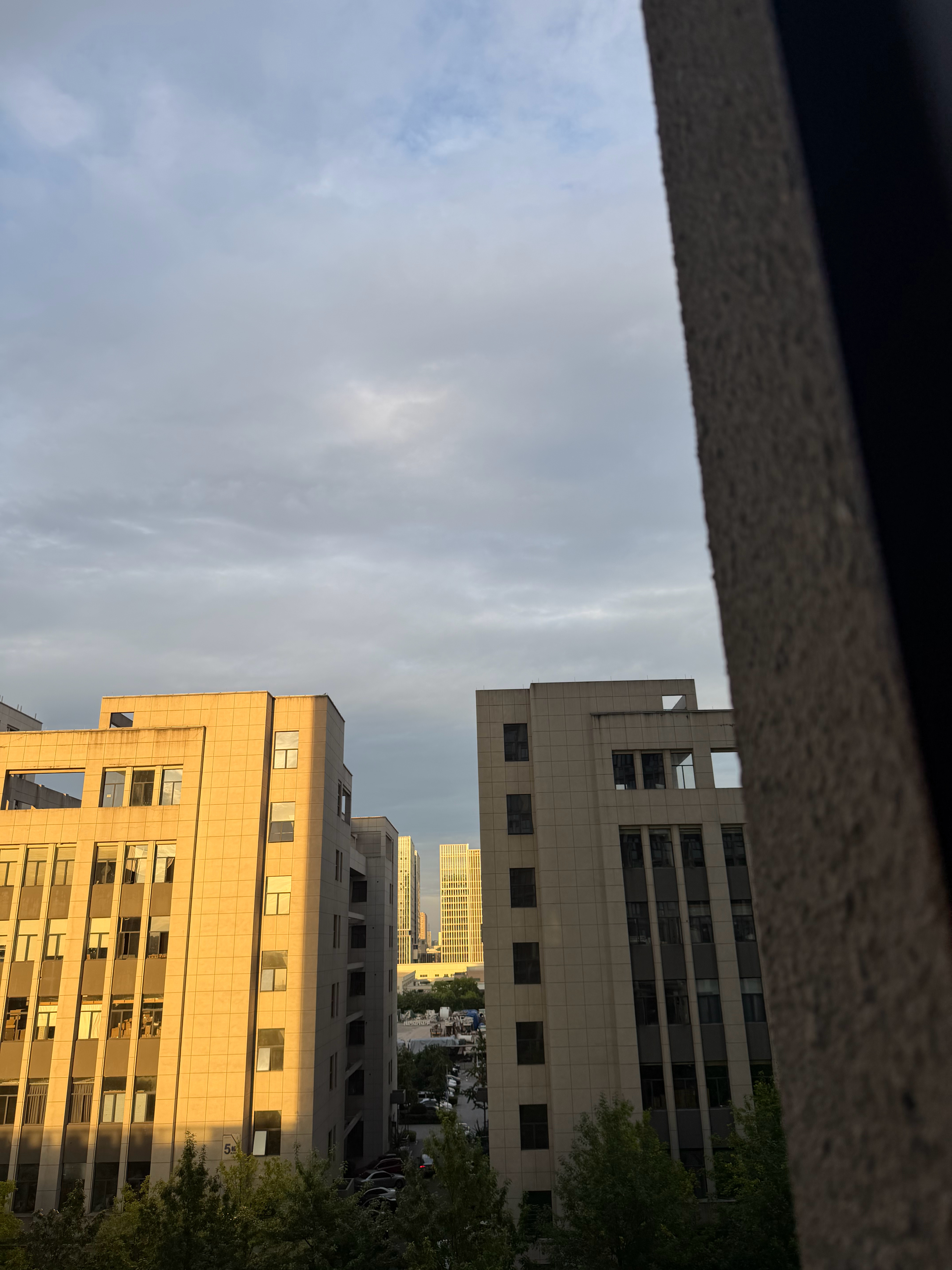 我赌今天不会下雨！！！ 